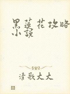 黑莲花攻略手册小说封面