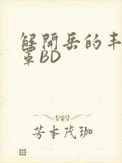 解开岳的丰满奶罩BD