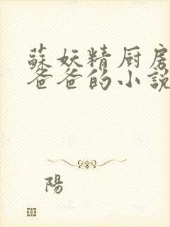 苏妖精厨房爹爹爸爸的小说