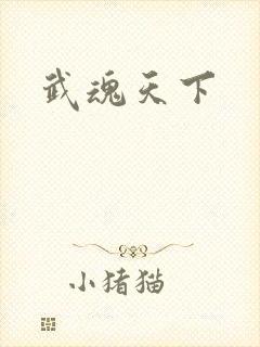 武魂天下