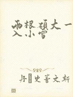 两根硕大一起挤入小雪