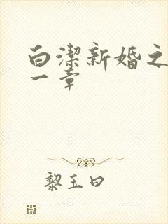 白洁新婚之夜第一章