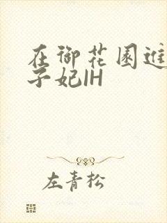 在御花园进入太子妃IH