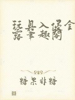 玩具入侵金银花露笔趣阁封面