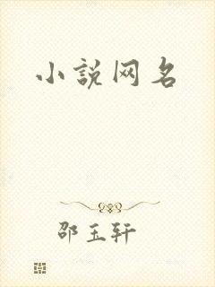 小说网名