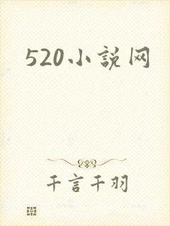 520小说网
