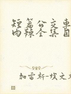 短篇公交车高h肉辣全集目录封面