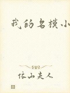 我的名模小娇妻封面