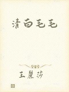 清白毛毛