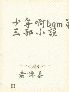 少年啊bgm第三部小说封面