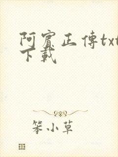 阿宾正传txt下载