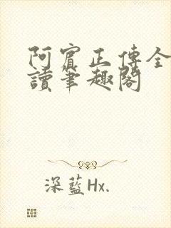 阿宾正传全文阅读笔趣阁封面