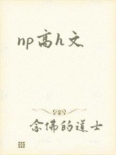 np高h文
