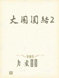 大团圆结2