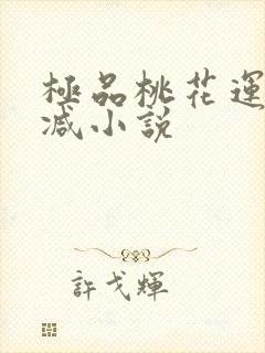 极品桃花运未删减小说封面