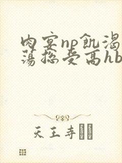肉宴np饥渴放荡总受高hbl