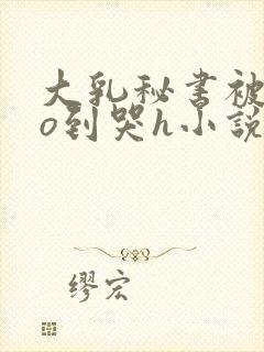 大乳秘书被cao到哭h小说