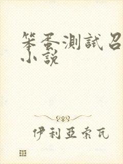 笨蛋测试召唤兽小说