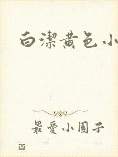 白洁黄色小说