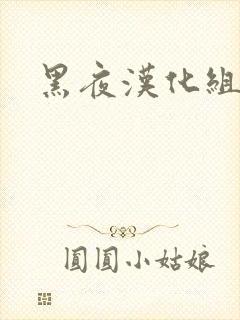 黑夜汉化组