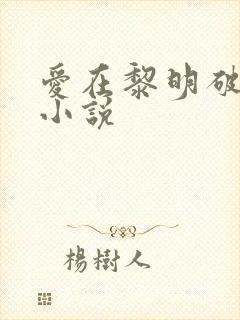 爱在黎明破晓前小说