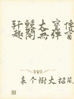 轩辕大宝传奇笔趣阁无弹窗