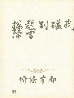 总裁别碰我 韩降雪