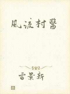 风流村医封面