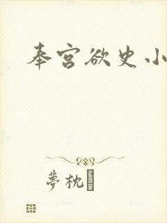 奉宫欲史小说封面