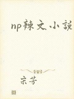 np辣文小说