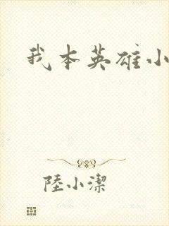 我本英雄小说