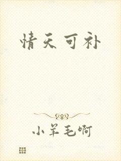情天可补
