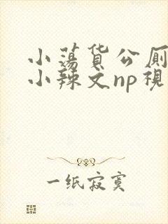 小荡货公厕h文小辣文np视频