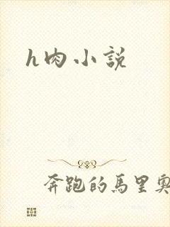 h肉小说