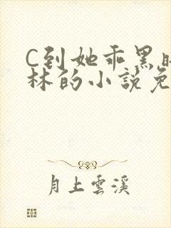 C到她乖黑暗森林的小说免费
