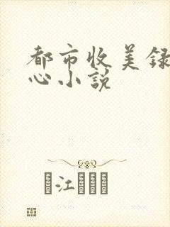 都市收美录宁素心小说封面