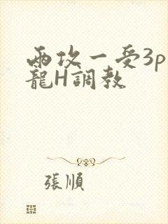 两攻一受3p双龙H调教