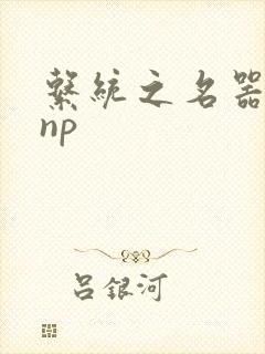 系统之名器攻略np