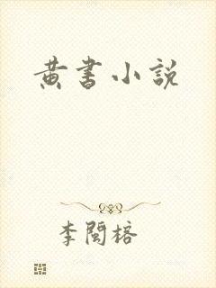 黄书小说