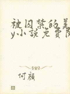 被囚禁的美人by小说免费阅读