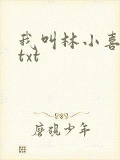 我叫林小喜小说txt