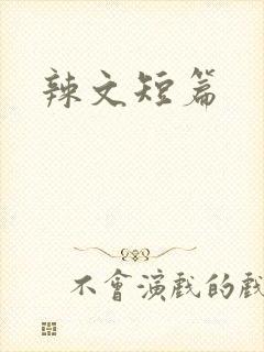 辣文短篇封面