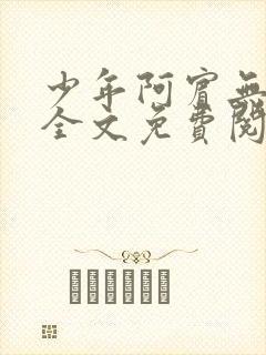 少年阿宾无删减全文免费阅读笔趣阁封面