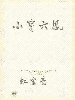 小宝六凤