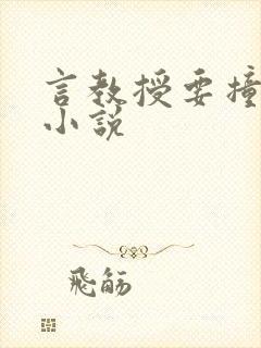 言教授要撞坏了小说