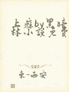 上瘾by黑暗森林小说免费