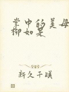 掌中的美母版主柳如是