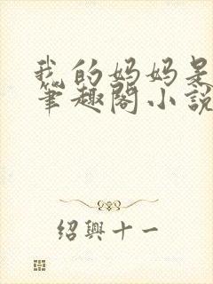 我的妈妈是小姐笔趣阁小说