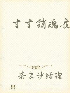 寸寸销魂夜春光