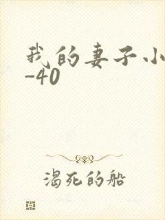 我的妻子小谨1-40